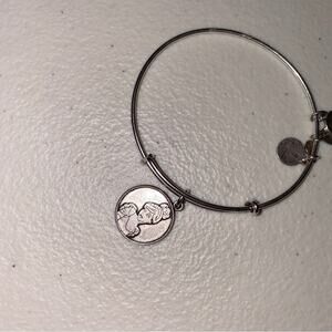 Alex & Ani Walt Disney World Princesses Cinderella Face Silver Bangle Bracelet